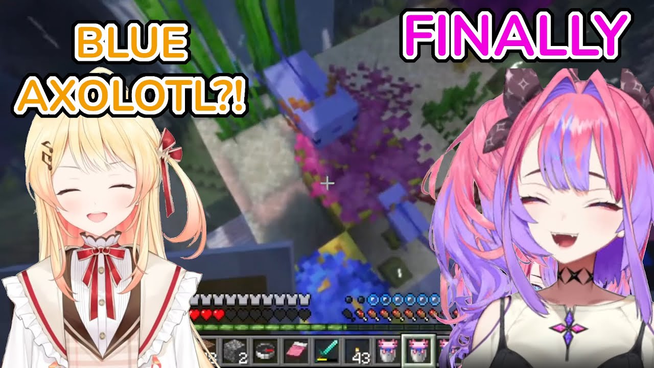 Vivi Breeds Blue Axolotl And Shows Kanade [Kikirara Vivi | Hololive Flow Glow | EN Subs]