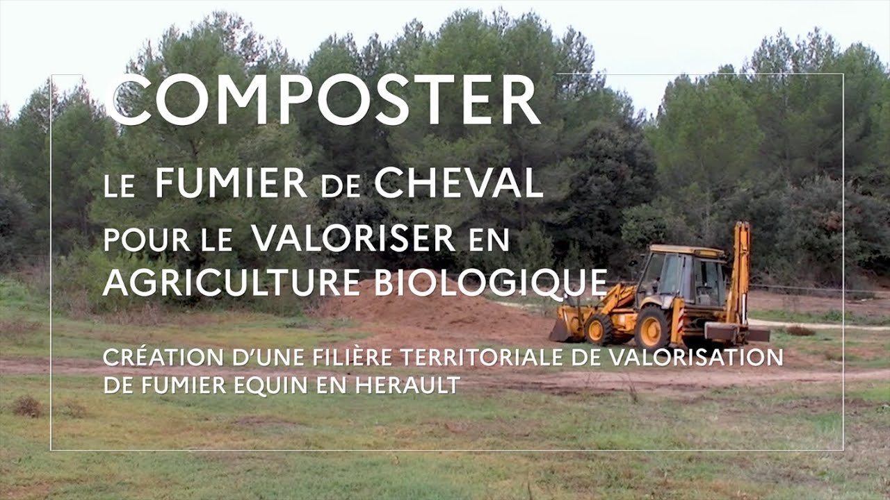 Composter le fumier de cheval pour le valoriser en agriculture biologique