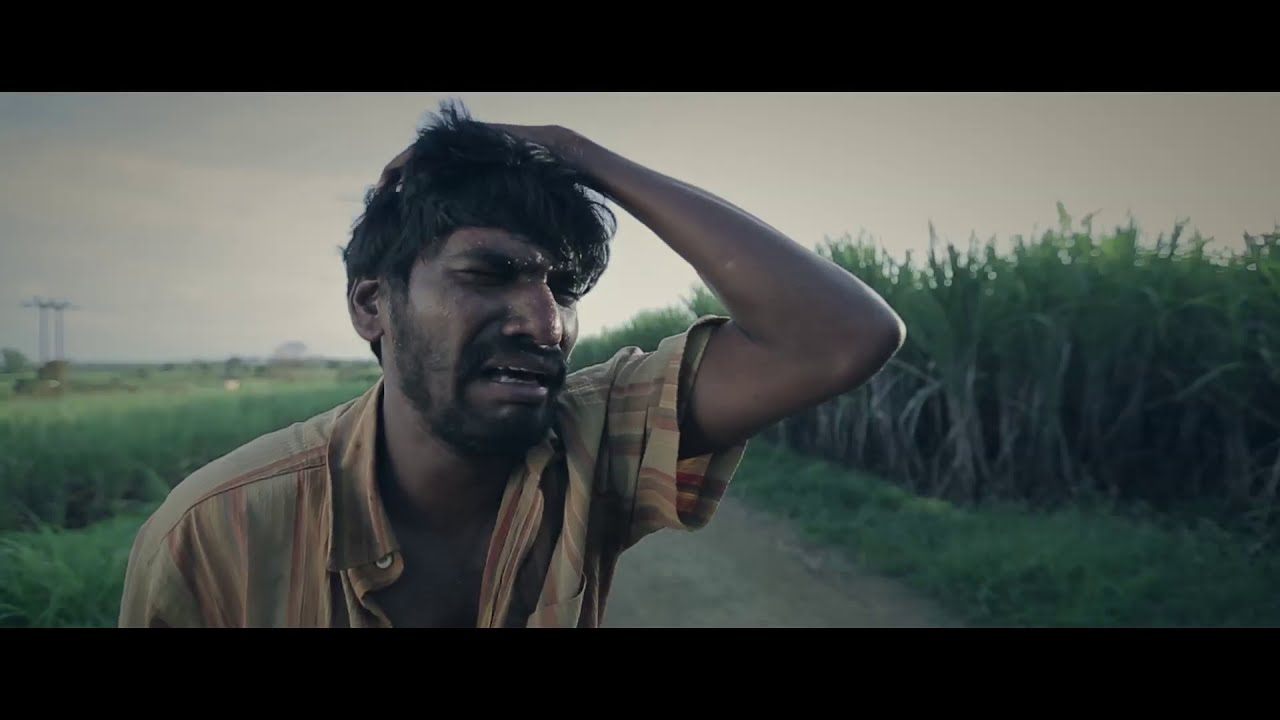 SAAVAT - A Marathi Short Film | national award winner | cannes film festival | IFFI