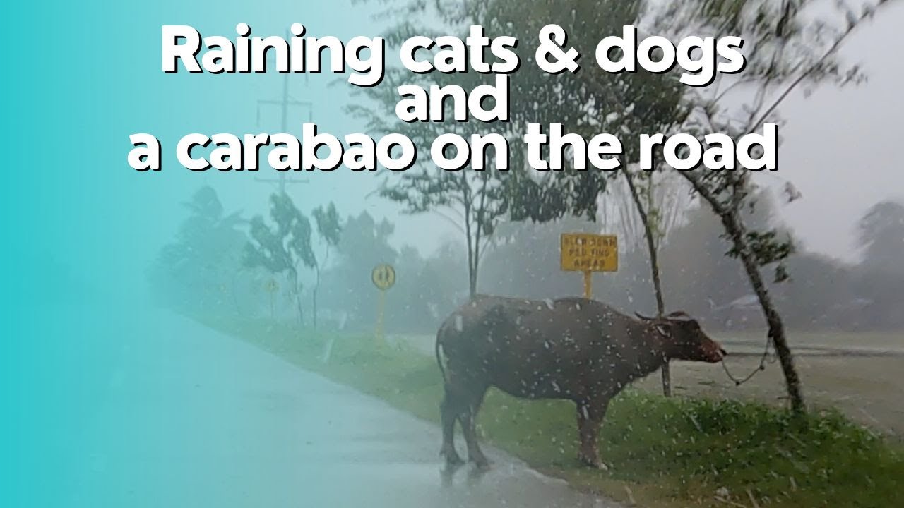 A rainy Sunday drive from Anilao to Savannah Subdivision, Iloilo