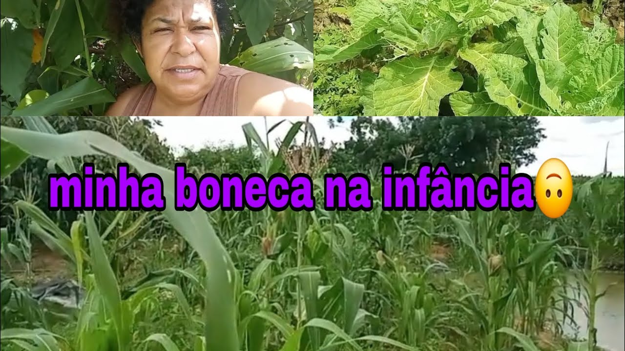 Como eu brincava de boneca na  infância 