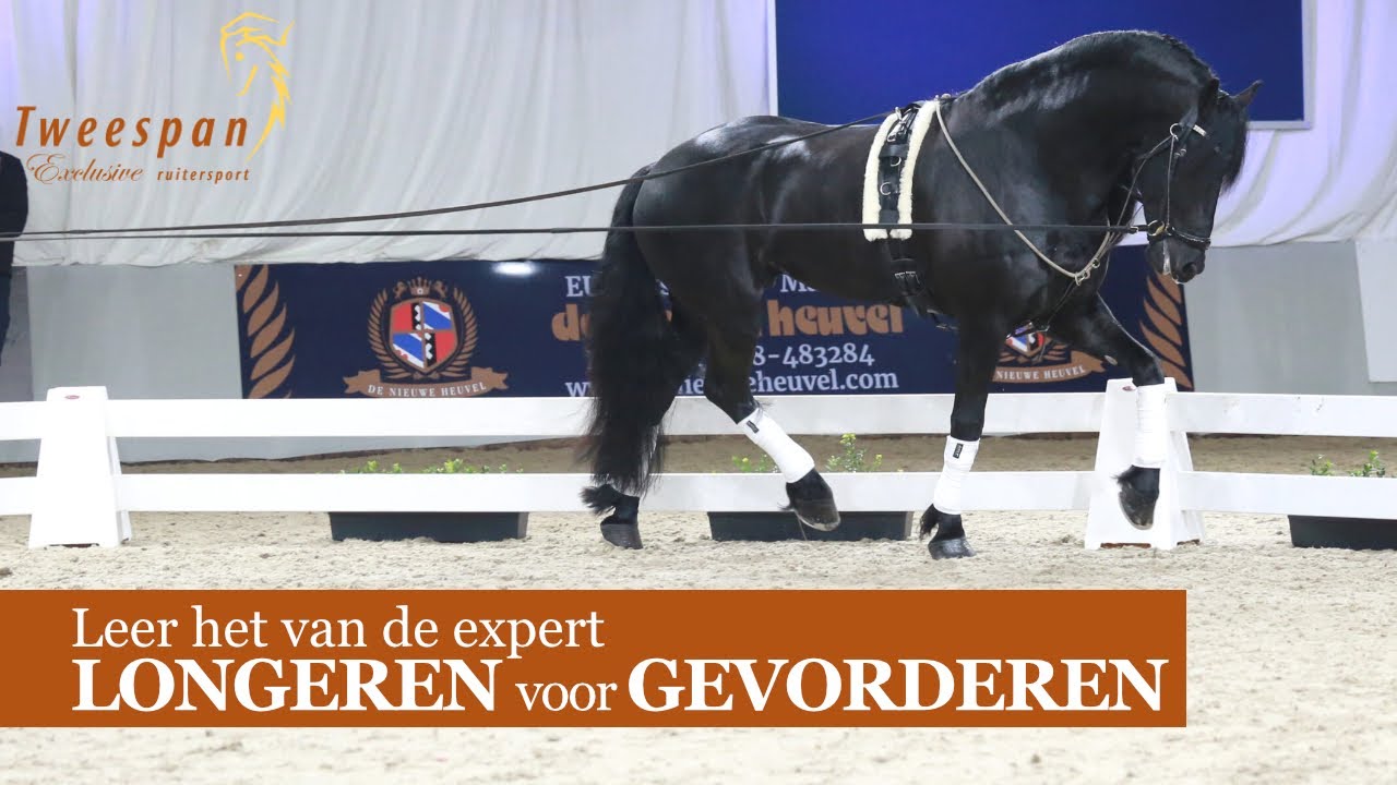 Van verzameling tot piaffe LONGEREN voor GEVORDERDEN