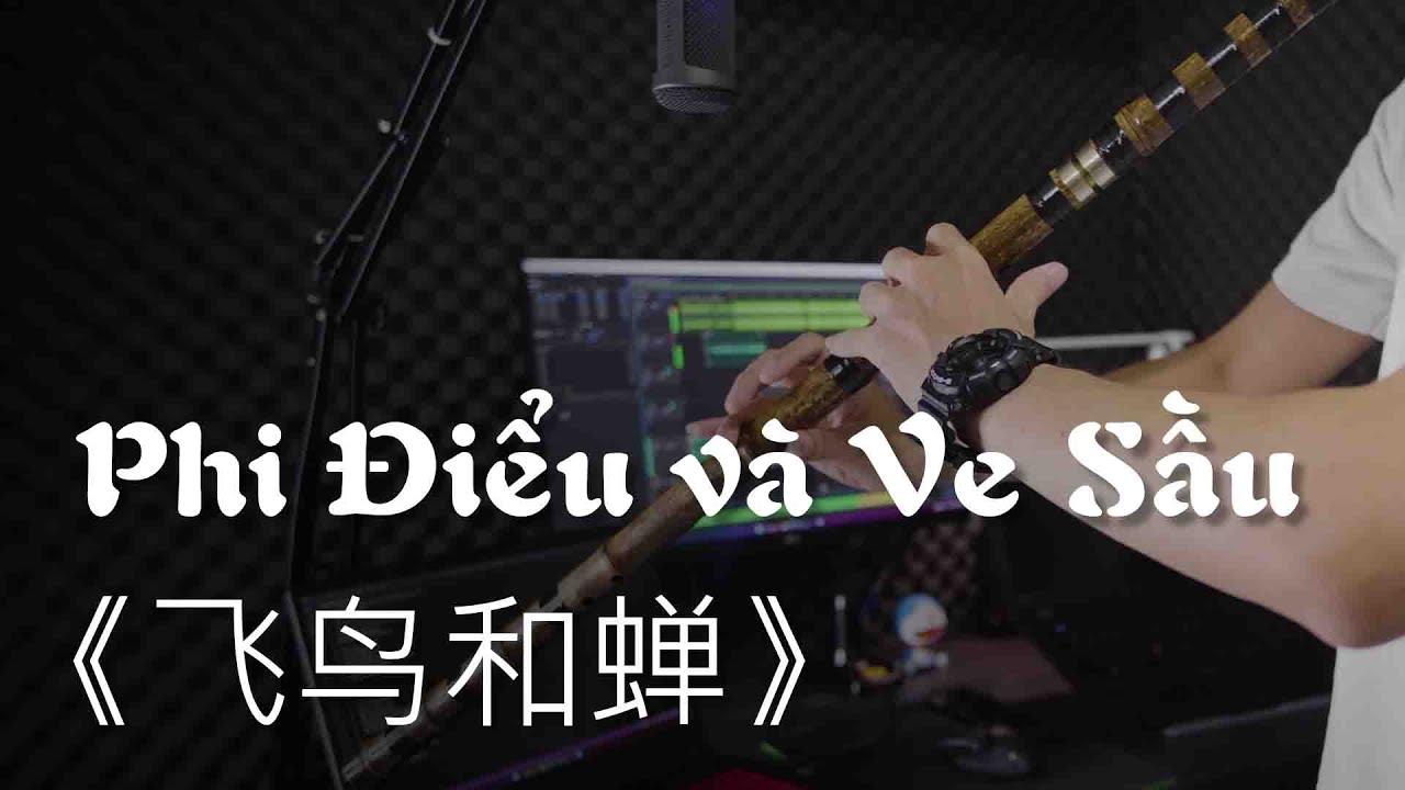 PHI ĐIỂU VÀ VE SẦU 《飞鸟和蝉》 Xiao Cover