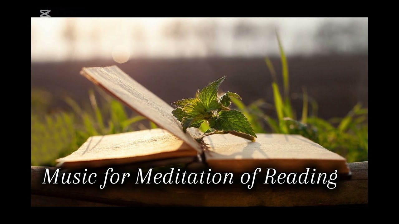 Deep thinking,Relaxing and reading music,Feel peace. #relaxingmusic​, #relax​, #music​, #sleep​