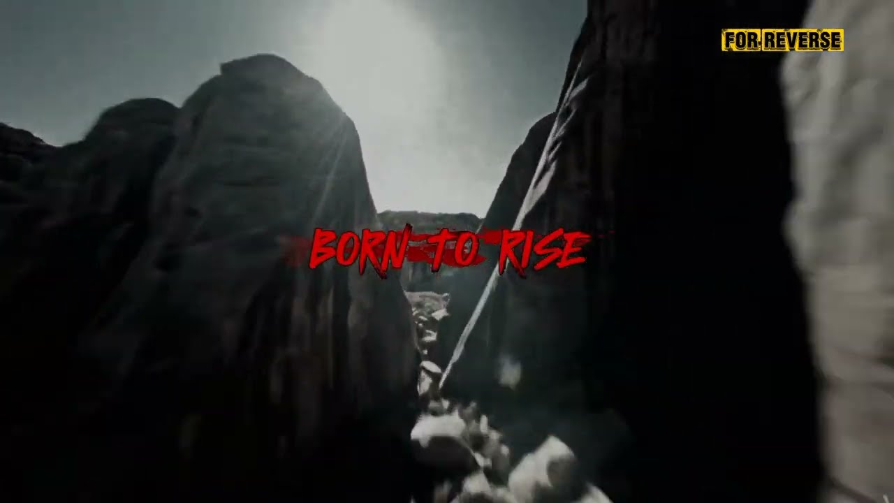 For Reverse - Born To Rise