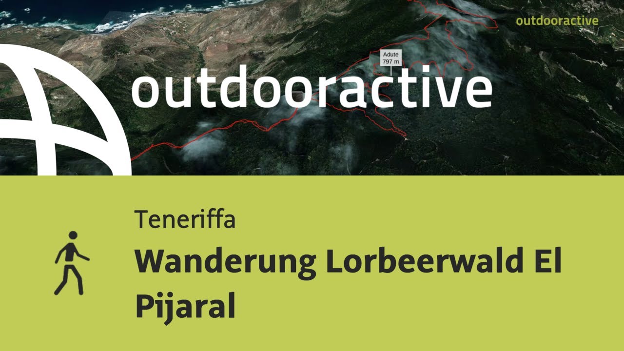 Wanderung Lorbeerwald El Pijaral