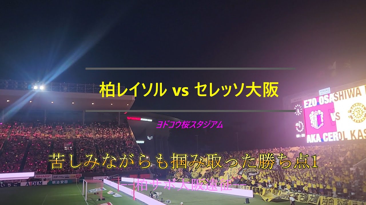 【大阪観光】ヨドコウ桜スタジアム_柏サポ大阪遠征