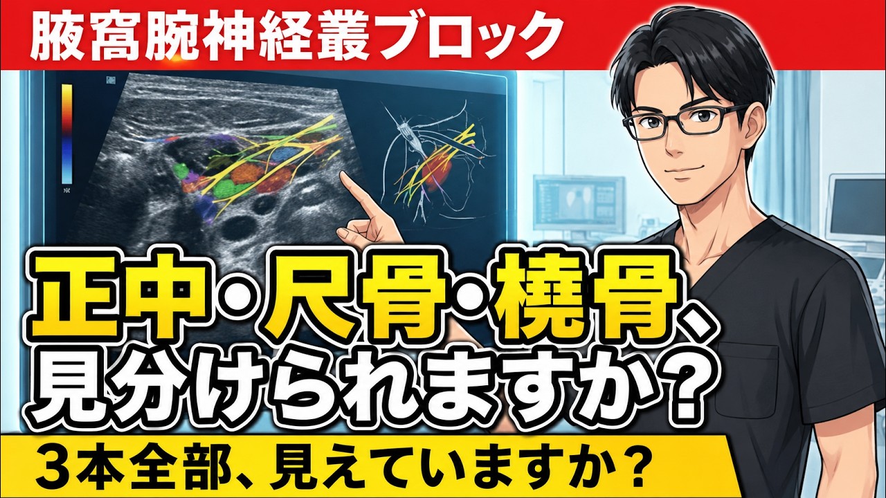 実践！腋窩での腕神経叢のエコー下注射(解剖学的変異についても解説)