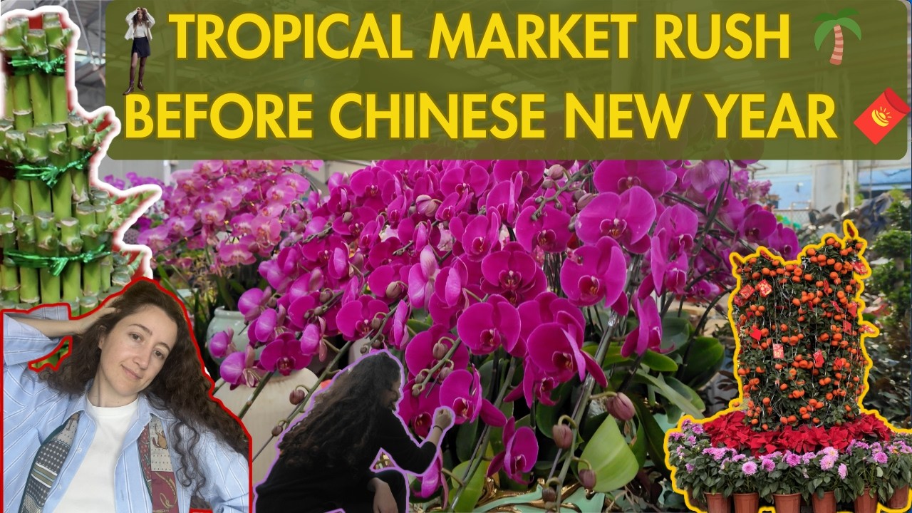 The (sub)Tropical Market Every Plant Lover NEEDS to See in Guangdong, China