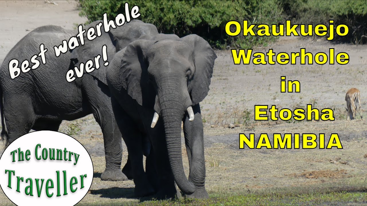 Okaukuejo Waterhole in Etosha, Namibia . Best place to see elephants