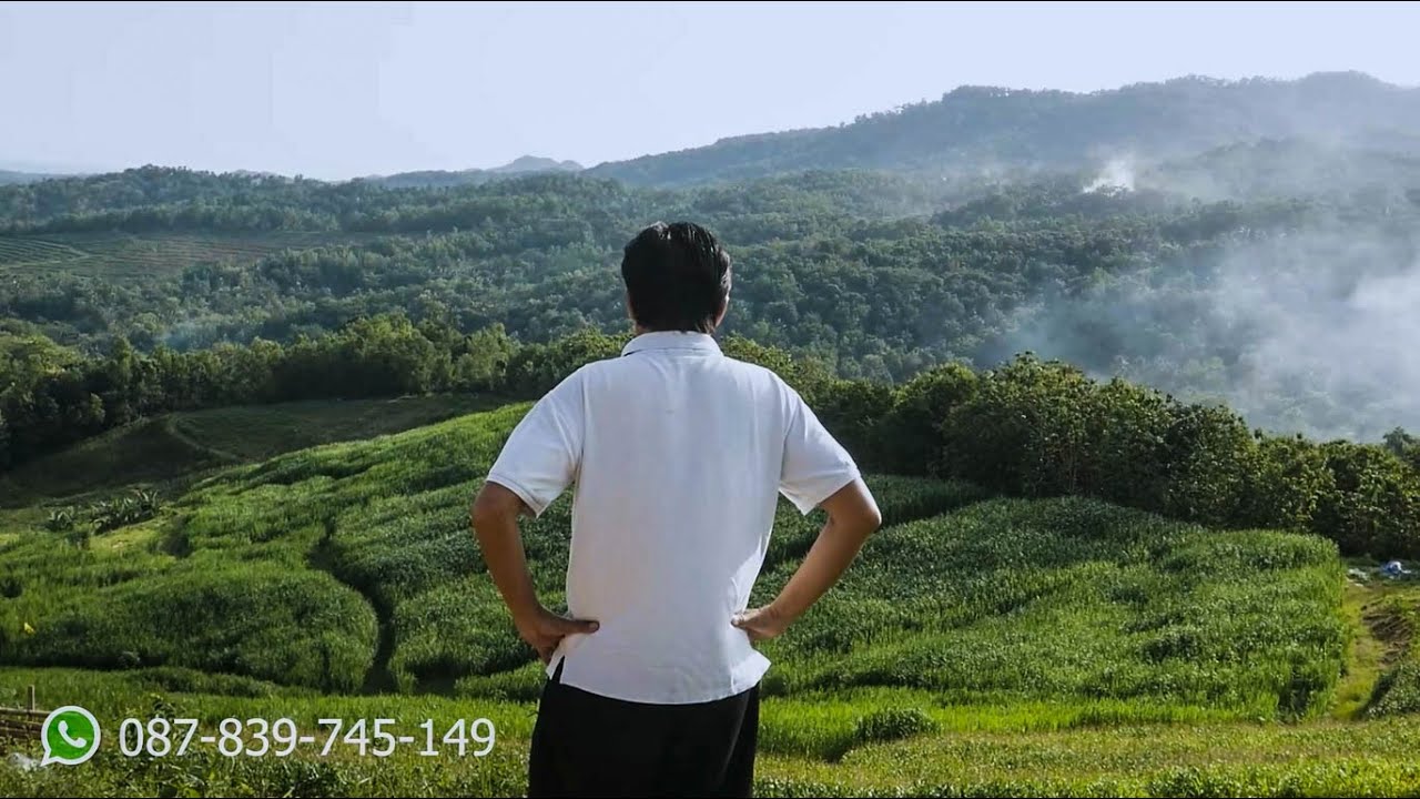 Jual Tanah 2200m2 Jogja View Lembah Dan Bukit Muka 100 Seharga 250rb Lokasi Di Pinggir Aspal