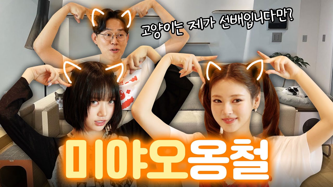 SUB) 미야옹철한테 한 수 배우고 간 후배고양이 미야오