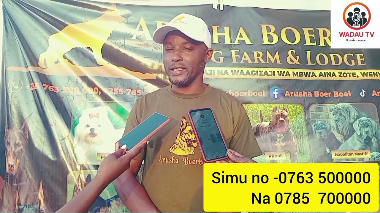 MFUGA MBWA WA KWANZA KUENDESHA V8 ARUSHA ,ANA MBWA WA HALI YA JUU KWA ULINZI WA NYUMBA YAKO...