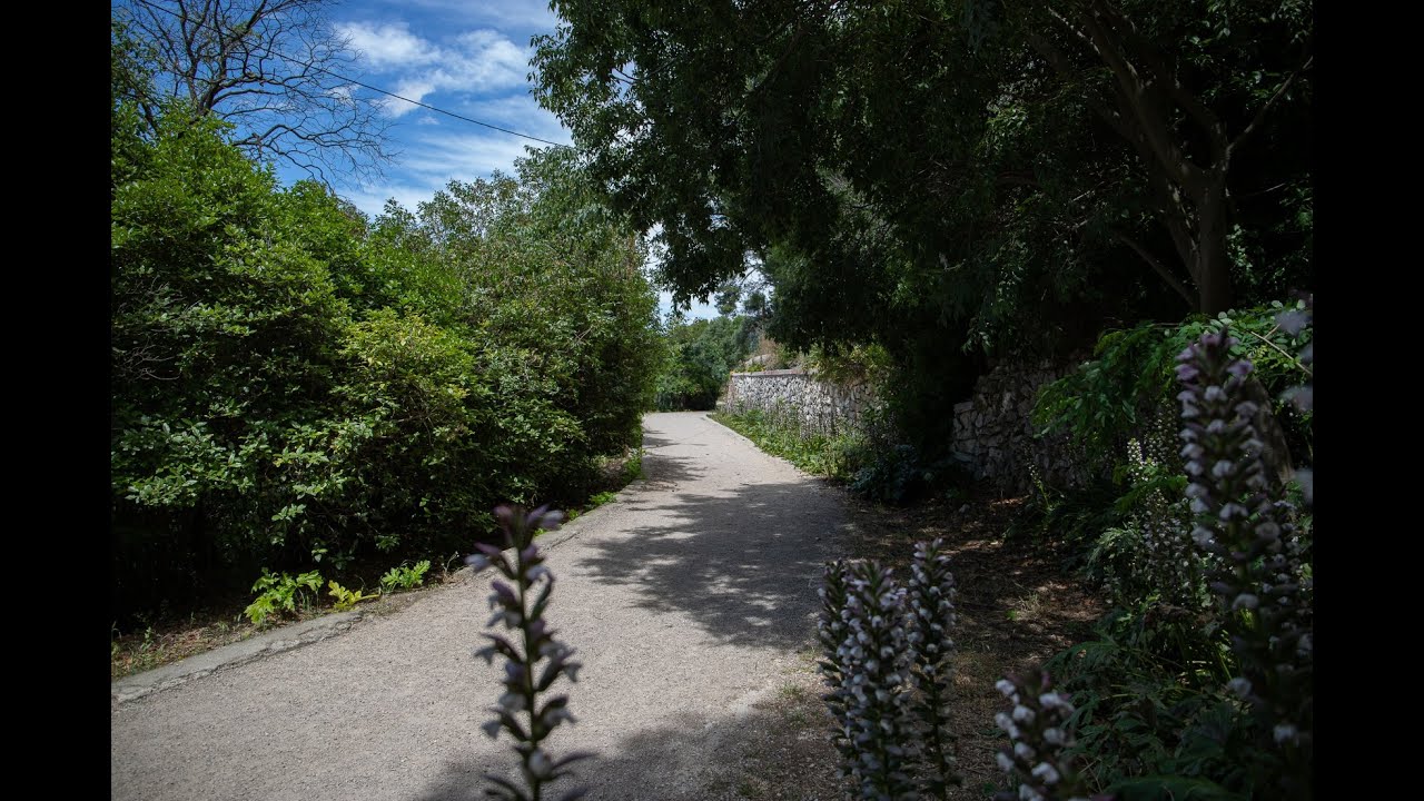 À la découverte du canal de Saint-Julien - Marseille 12e