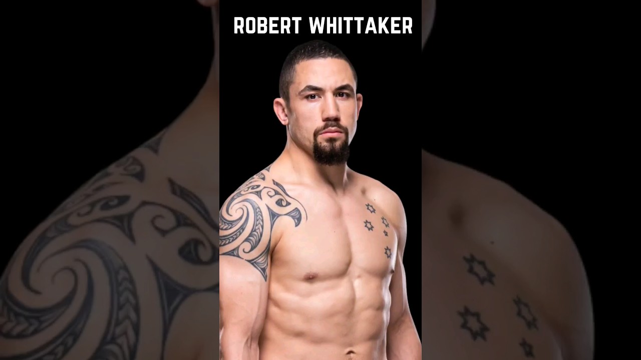 UFC 290 - robert whittaker - knockout highlights. Ufc highlights mma highlights. 