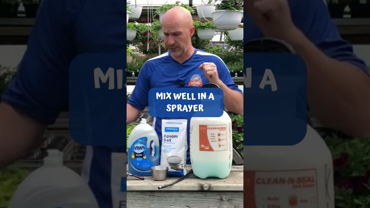 DIY Weed Killer with 3 Simple Ingredients | Easy & Effective Homemade Weed Killer Recipe