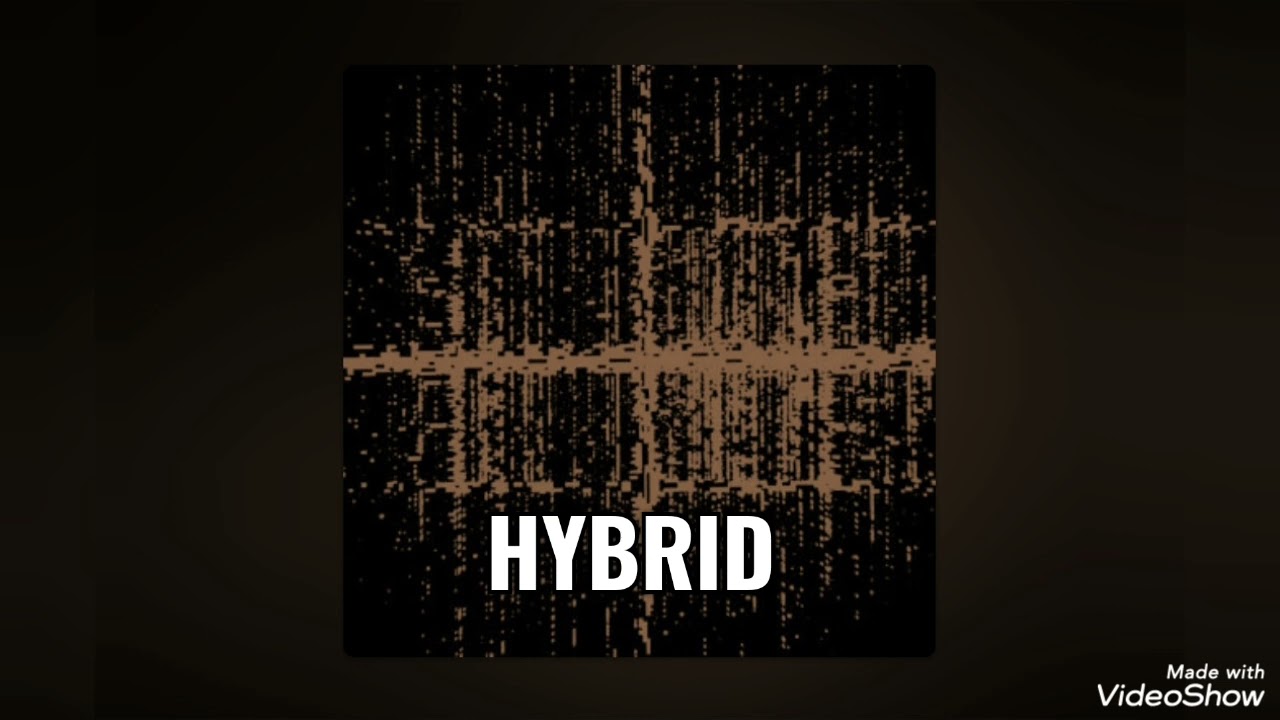 Hybrid (Hindi Rap Song)