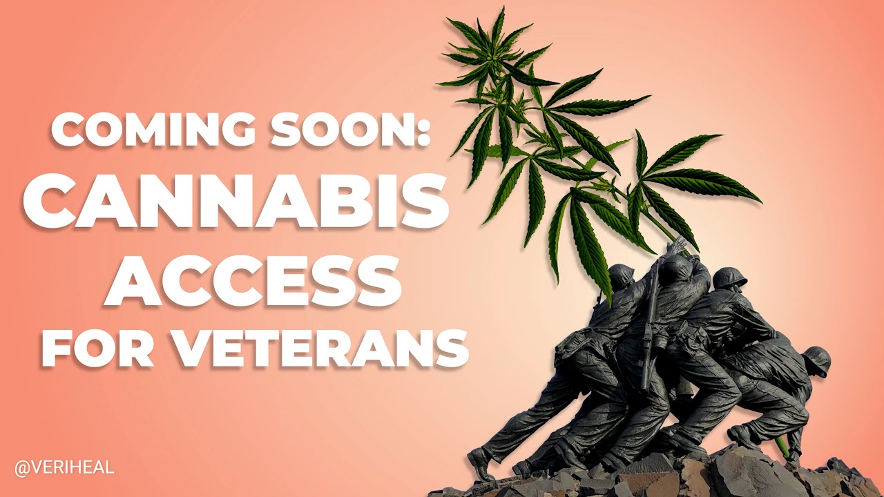 Coming Soon: Cannabis Access for Veterans - Cannabis News 2021