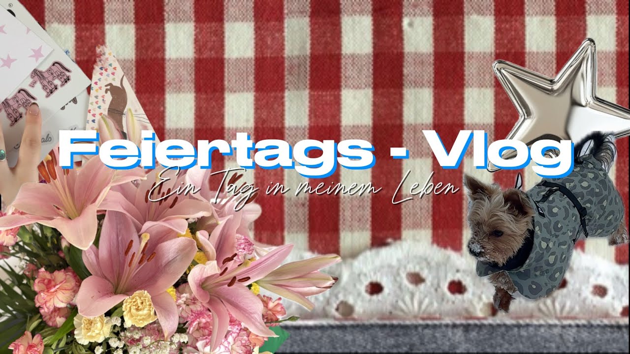 Feiertags Vlog | Ein Tag in meinem Leben | aufräumen -putzen - Uni