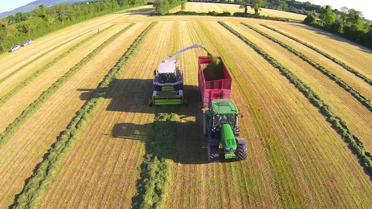 Silage 2015