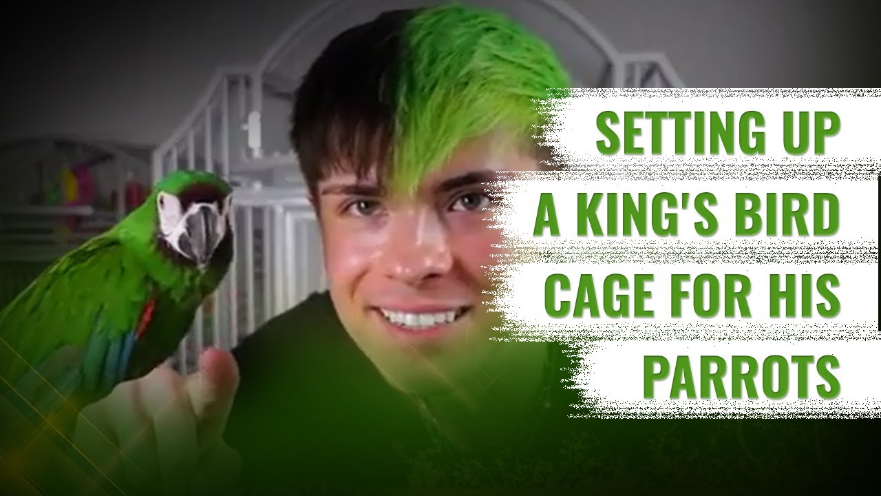 King's Bird Cage Setup for His Parrot by Tyler Rugge | King's Cages