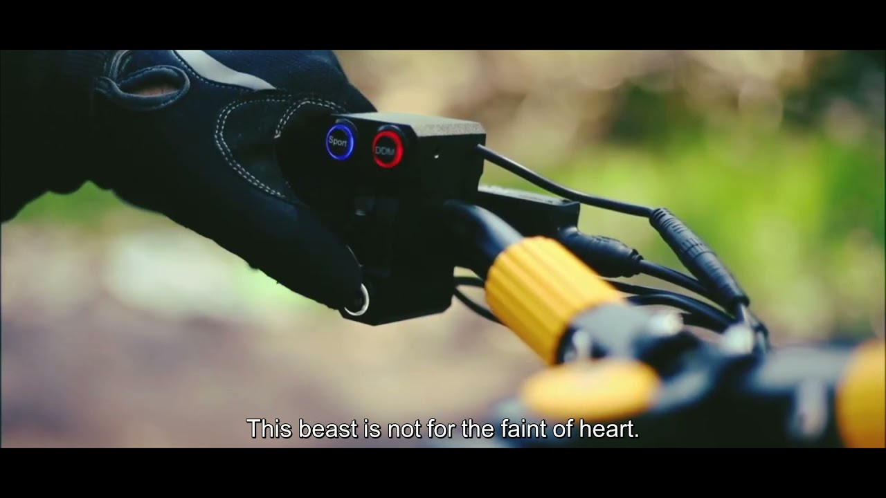 Vsett 10+ - Monster Electric Scooter