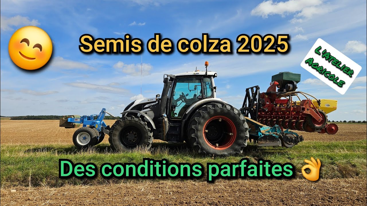 🚜 Semis de colza 2025 : Des conditions parfaites 😊