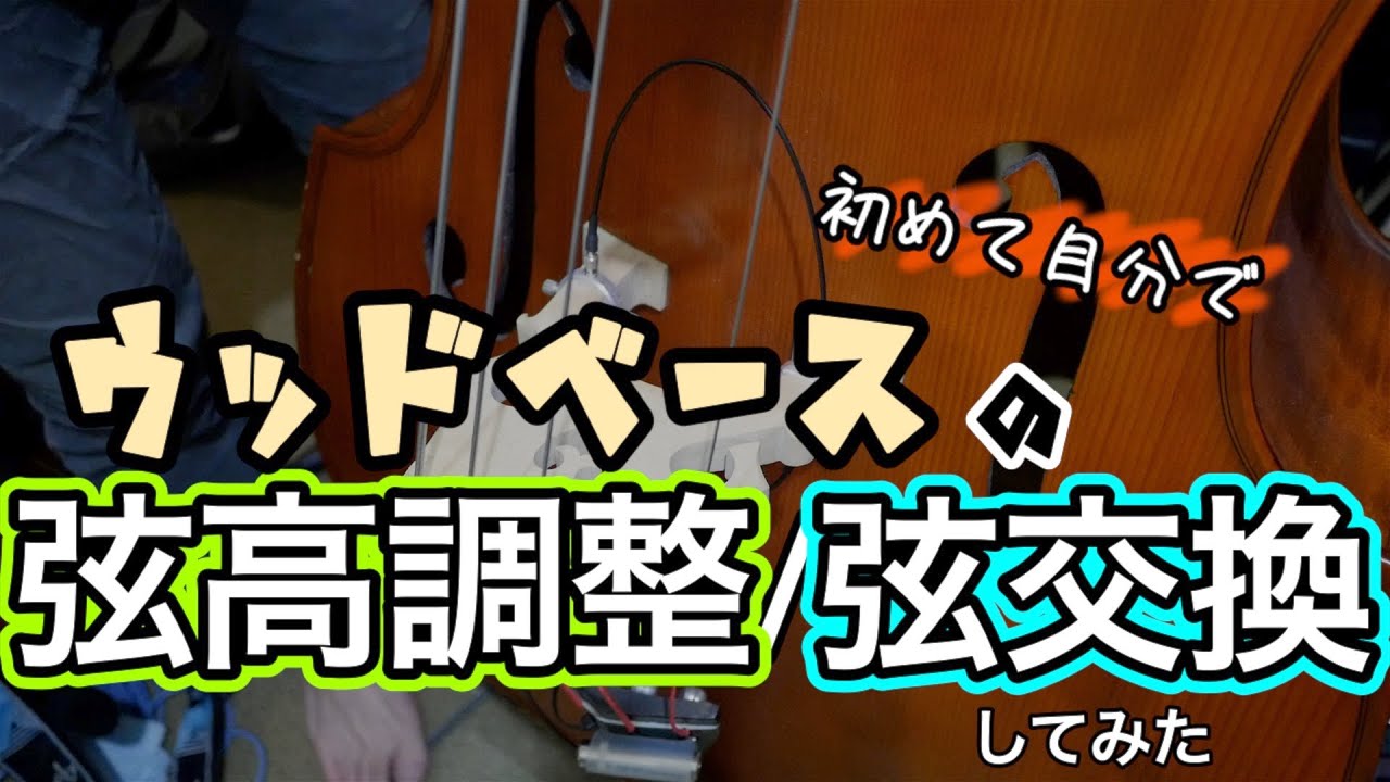 初めてのウッドベースメンテナンス！【ベース】