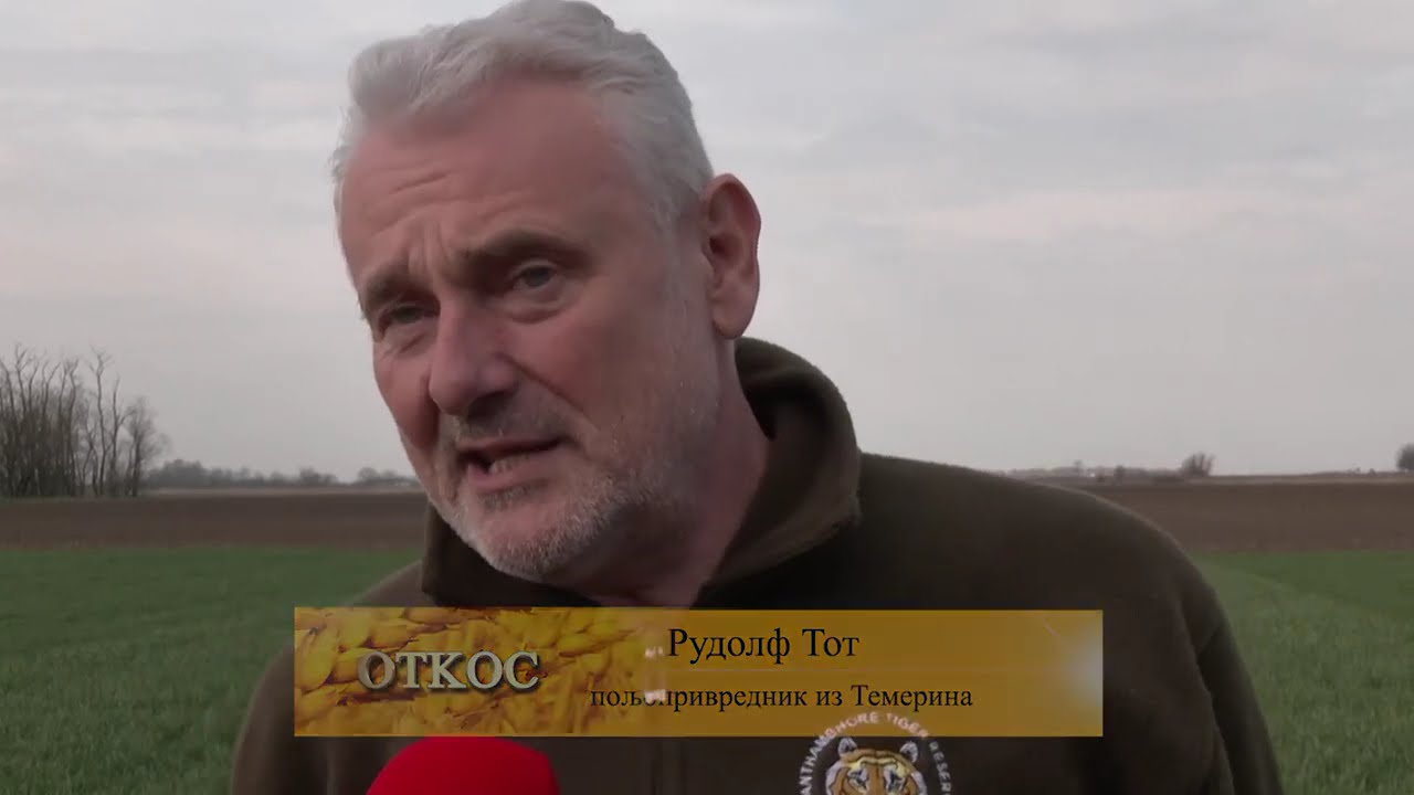 CENE DJUBRIVA U NEBESA OTKOS  za 14 03  UTICAJ RATA NA BLISKOM ISTOKU NA POLJOPRIVREDNIKE U SRBIJI
