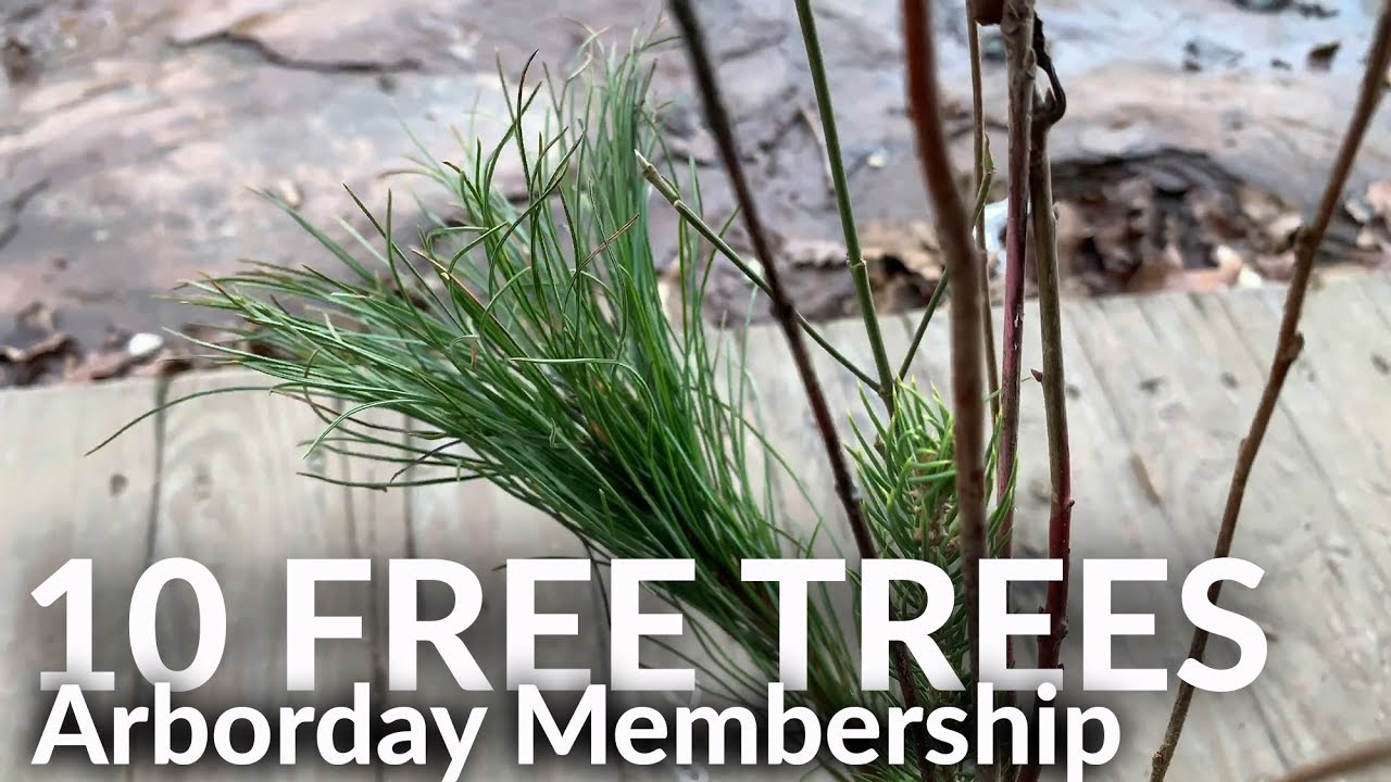 FREE Trees... Well Kinda Free... A Great Return on an Arborday Membership