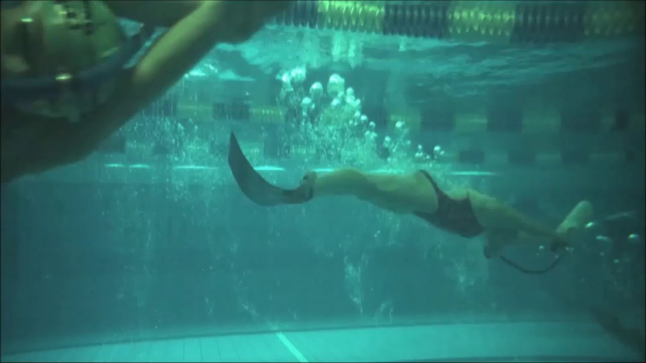 Blick der Jugend auf den Berliner TSC e.V. - Abteilung Finswimming