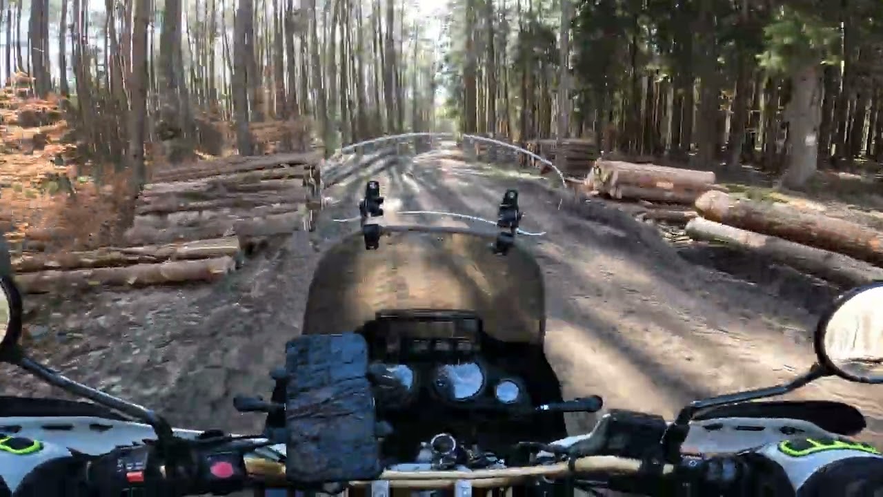 Honda Africa Twin 750, off-road | Pure sound, Onboard [Raw 4k]