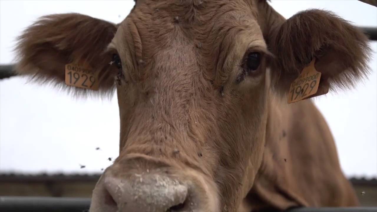 IL SIMBIOTICO: IL CONSORZIO BIOLOGICO VALBIDENTE