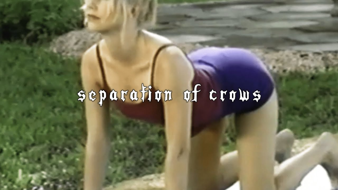 Scrim - separation of crows (legendado)