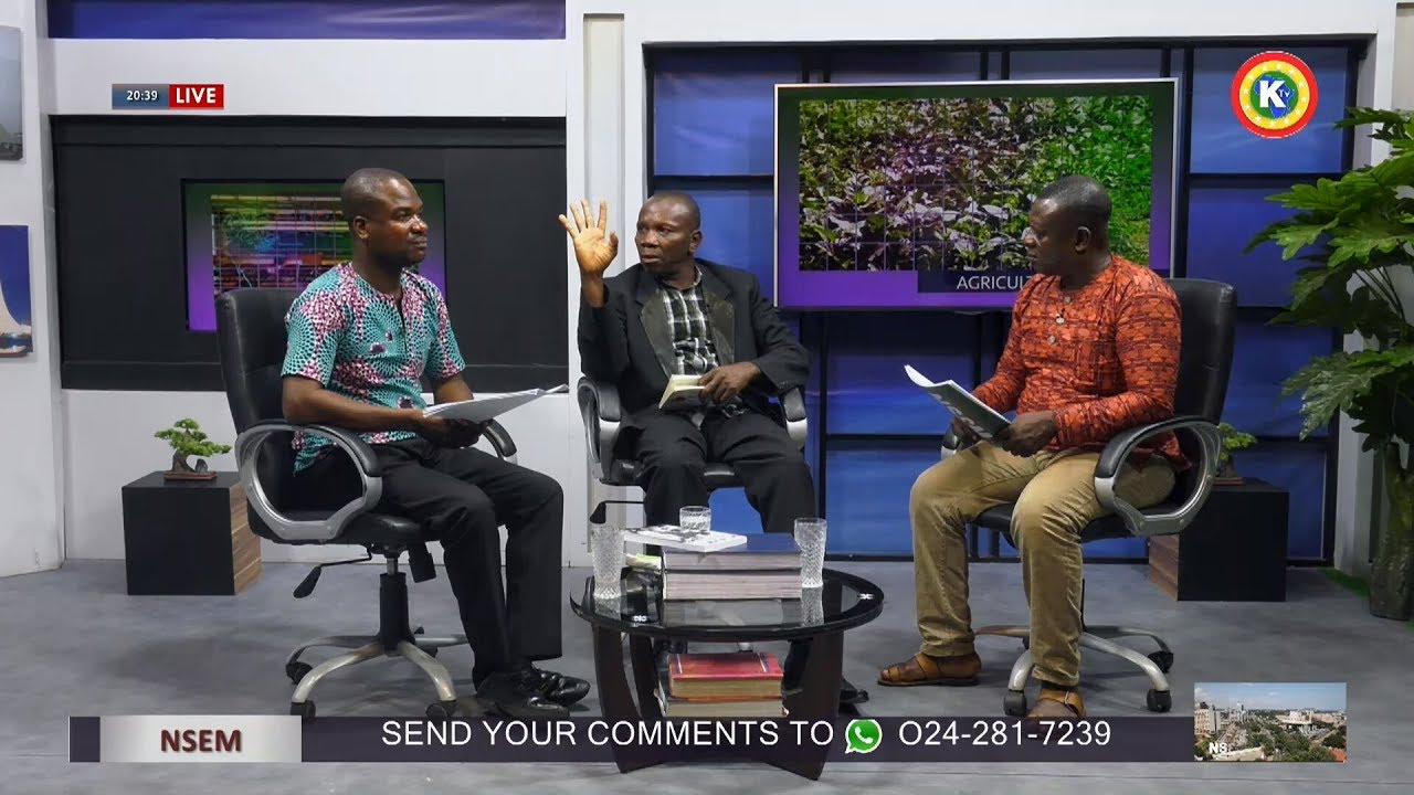 LOCAL FOOD Sustainance In The AGRIC SECTOR #kantanka #health