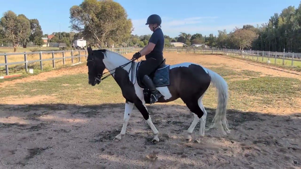 Emma Gerts Oncentreline January Competition - 4.2