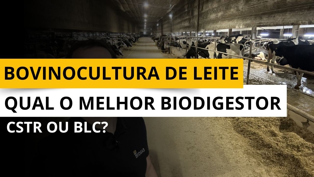 BOVINOCULTURA DE LEITE | Qual o melhor Biodigestor CSTR ou BLC