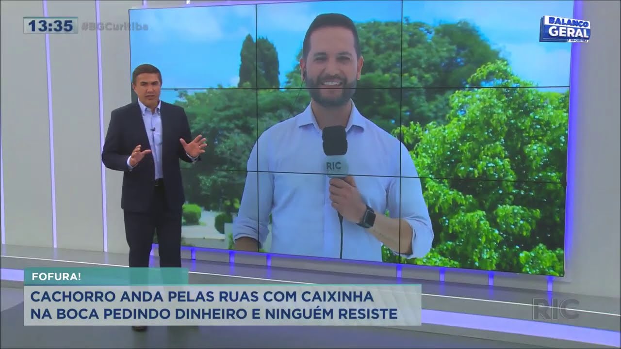 Cachorro anda nas ruas com caixinha na boca pedindo dinheiro e ninguém resiste