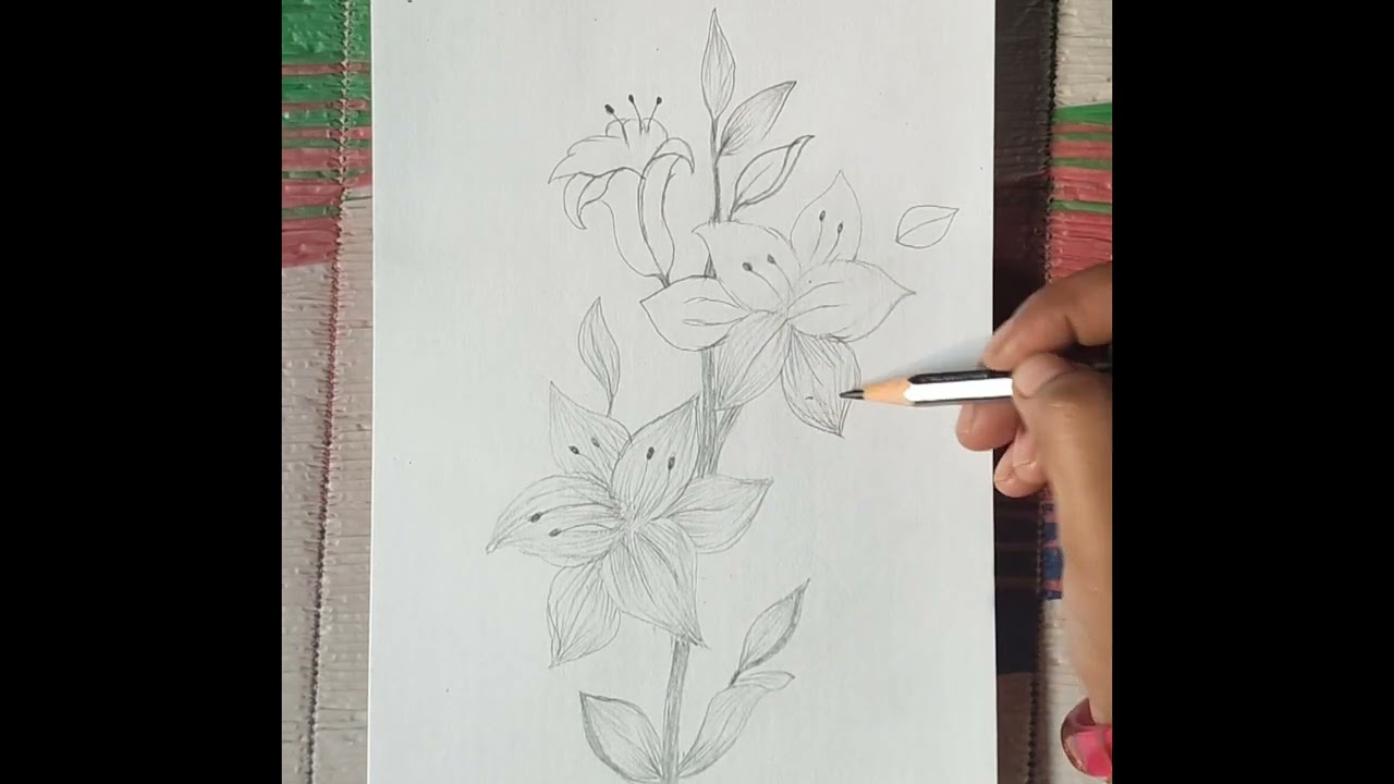 Flower drawing for beginners // (step by step) 