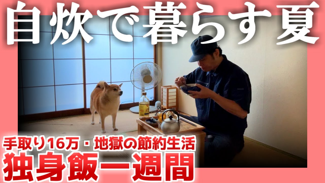 【手取り16万】自炊で暮らす夏【地獄の節約生活】|  独身飯一週間