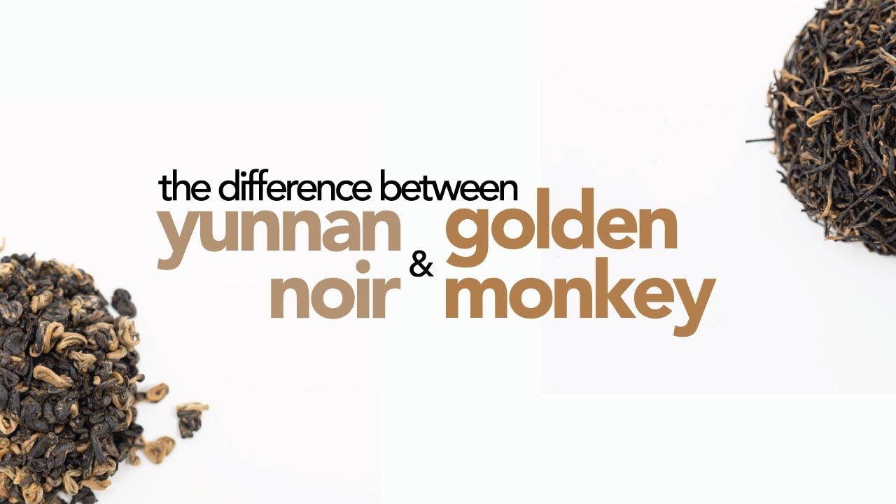 The Battle of Traditional Black Teas: Yunnan Noir vs. Golden Monkey