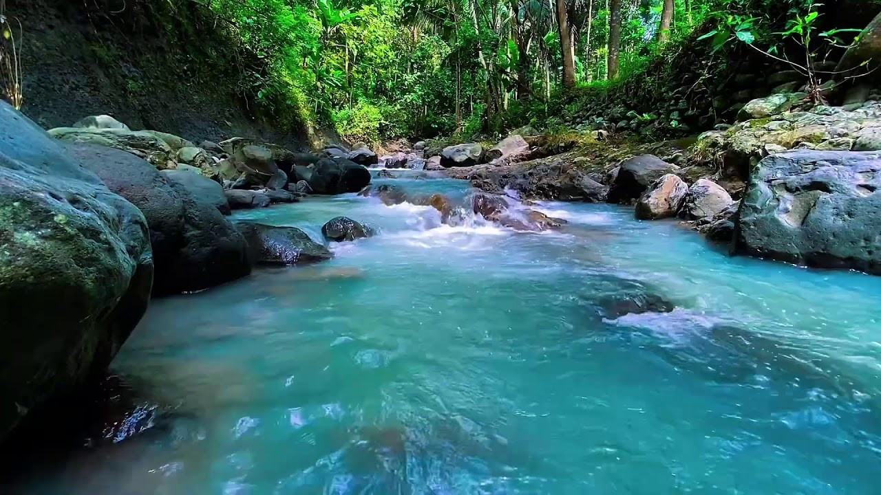 Forest River Night Flow, Mountain Stream Sounds, Sleep
