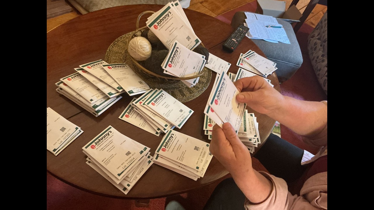 Seed Starting Time
