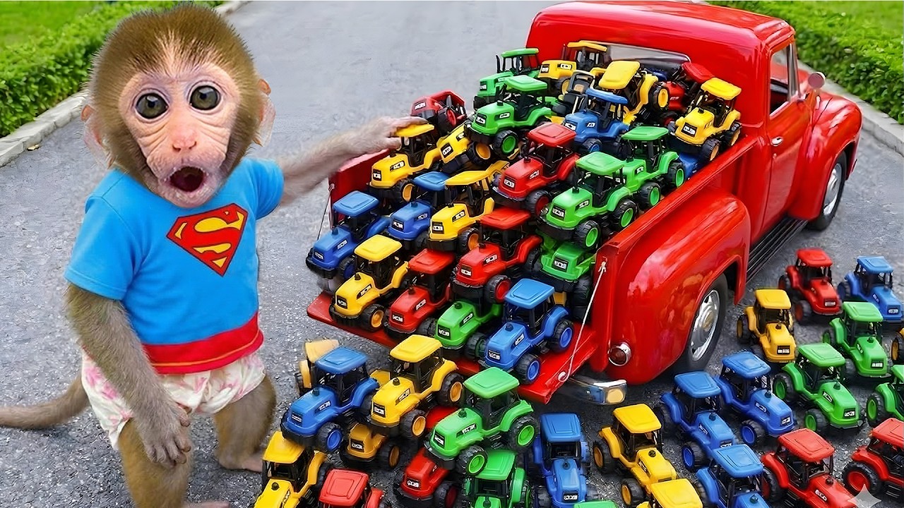 Monyet Bon Bon Imut membeli mobil-mobil Hot Wheels warna-warni dan mendapatkan hadiah misterius