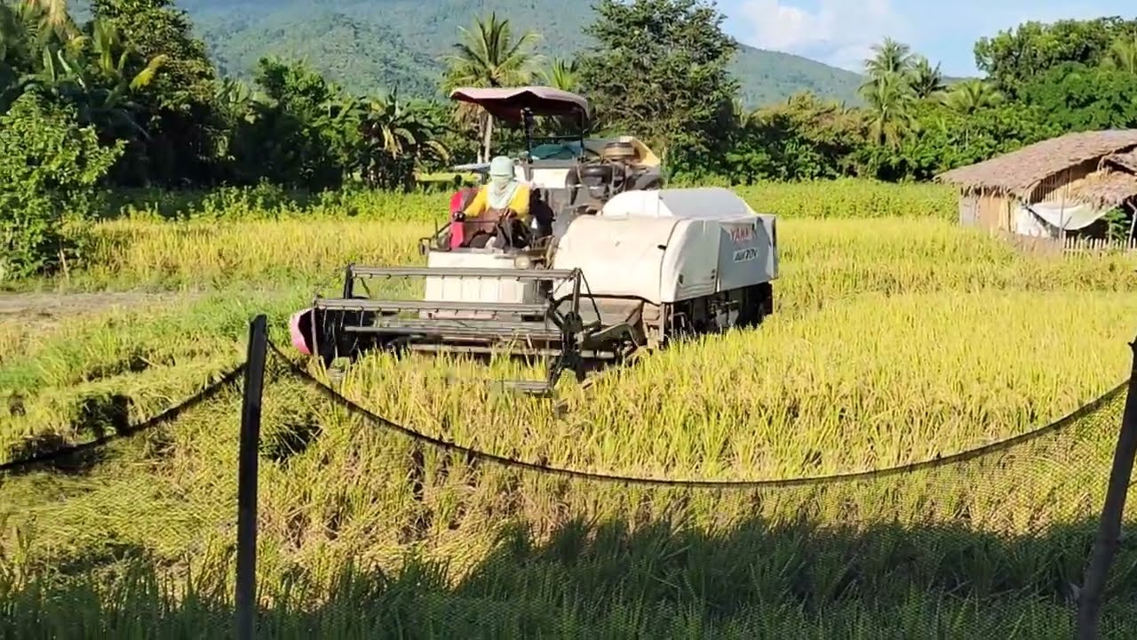 Magani tayo gamit ang harvester