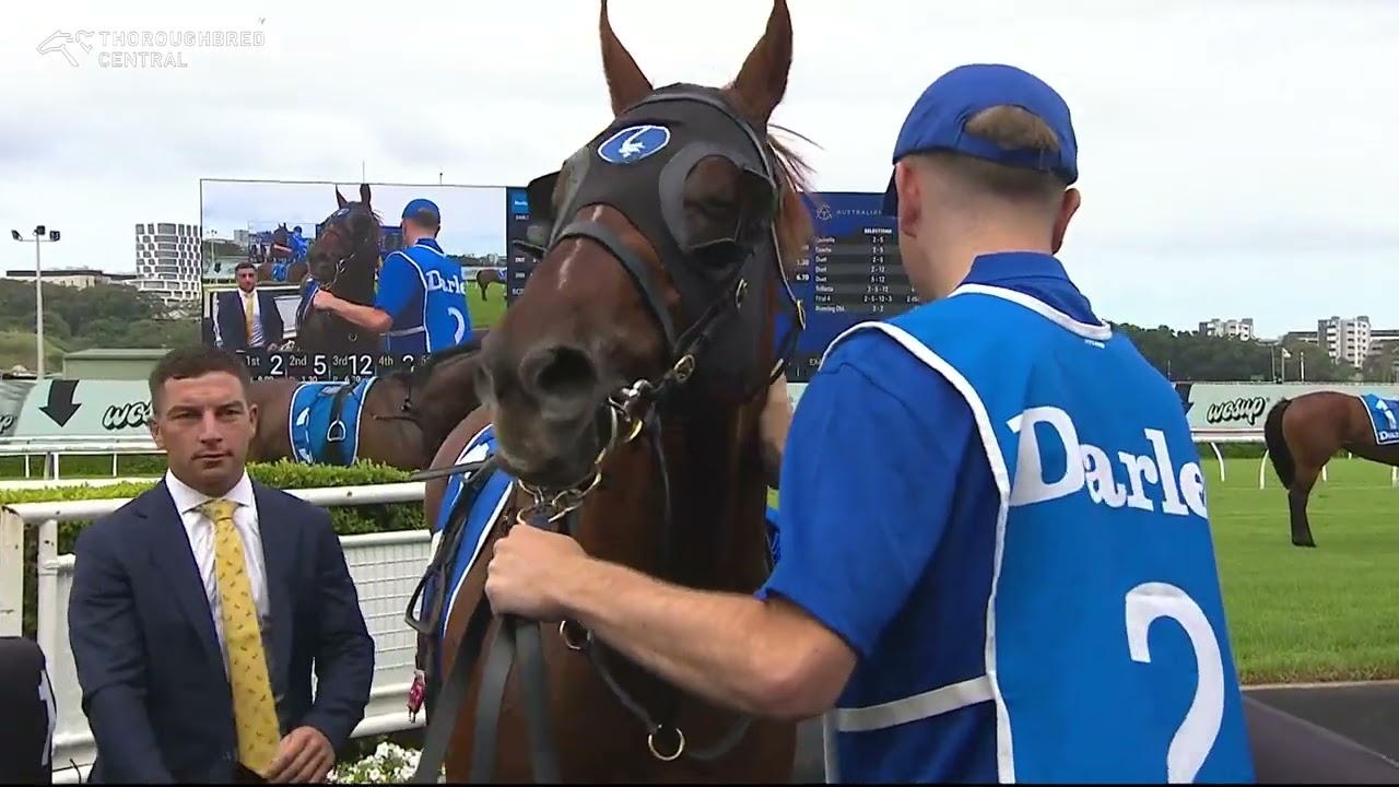 TENTYRIS WINS THE TODMAN STAKES