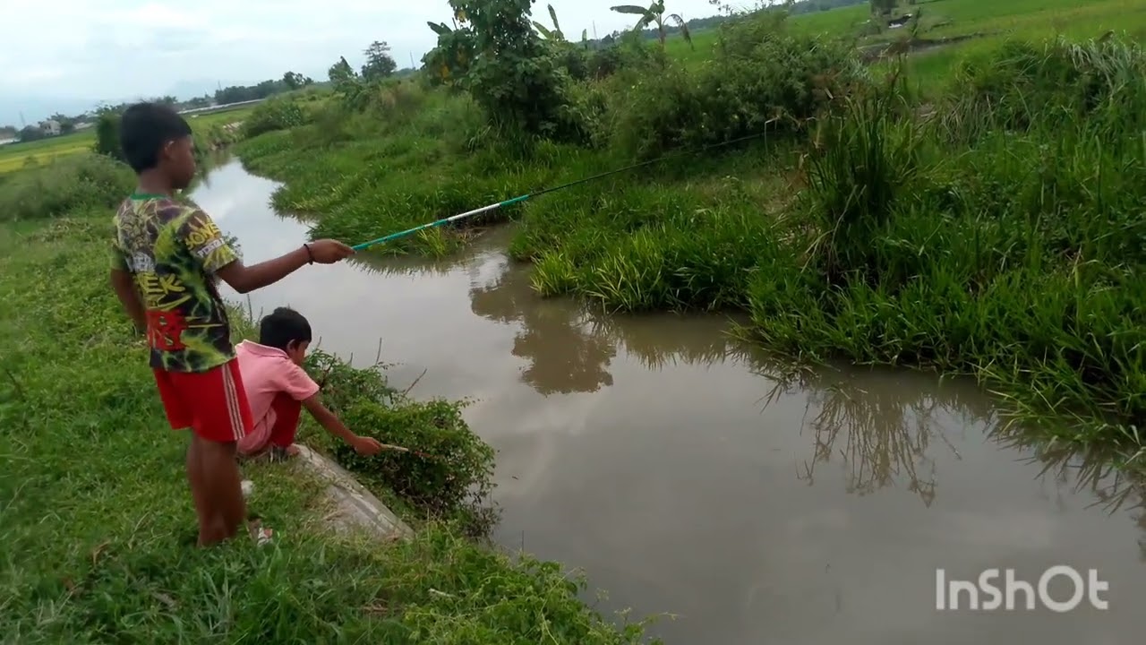 Healing memancing ikan kali