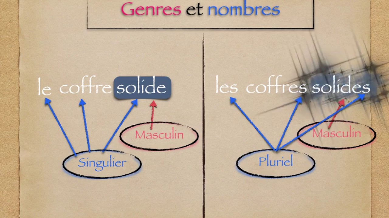 L'accord dans le groupe nominal