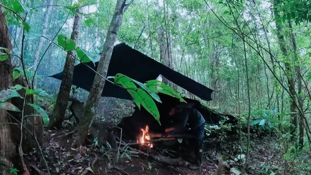 เดินป่า เจอพายุฝน ต้องอาศัยที่พักขอนไม้