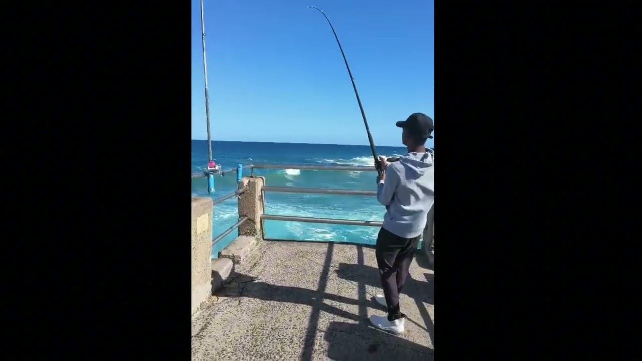 Grey sharks on the bite at Margate pier 💥🦈#fishing #margate #ocean #fishingwith2shay 